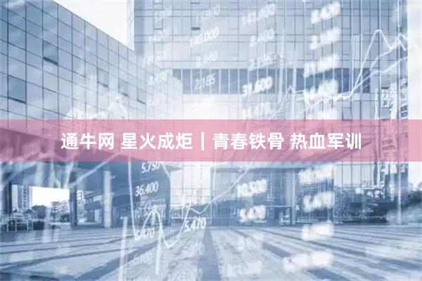 通牛网 星火成炬｜青春铁骨 热血军训