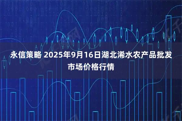永信策略 2025年9月16日湖北浠水农产品批发市场价格行情
