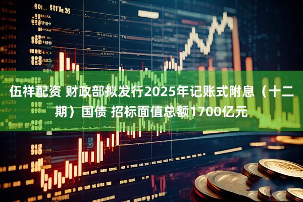 伍祥配资 财政部拟发行2025年记账式附息（十二期）国债 招标面值总额1700亿元