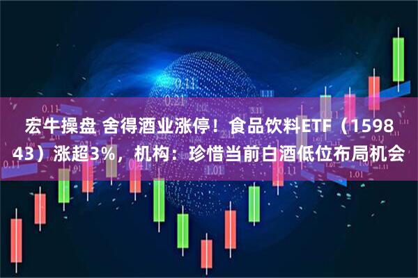 宏牛操盘 舍得酒业涨停！食品饮料ETF（159843）涨超3%，机构：珍惜当前白酒低位布局机会